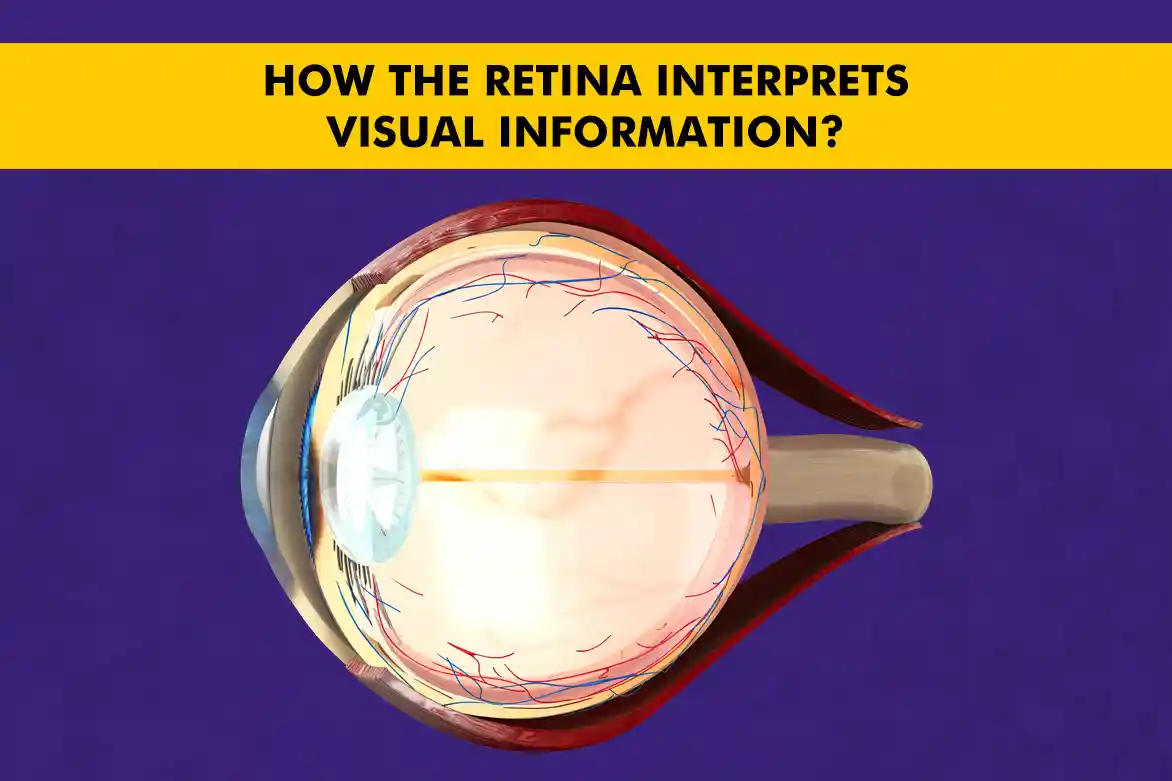 Retina Health